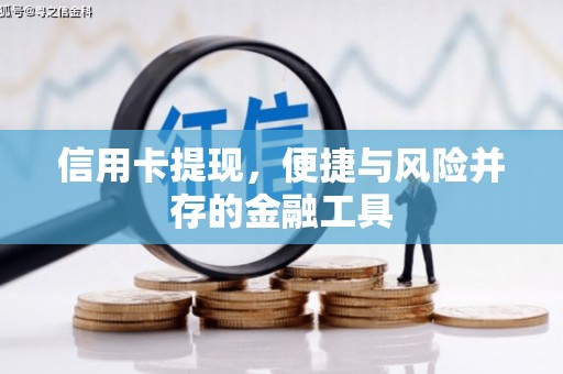 西和信用卡提现，便捷与风险并存的金融工具