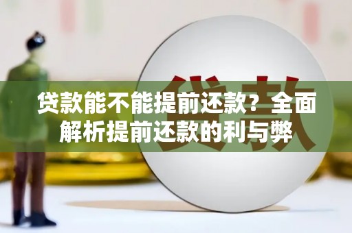 西和贷款能不能提前还款？全面解析提前还款的利与弊