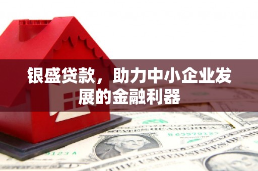西和银盛贷款，助力中小企业发展的金融利器