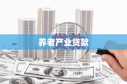 西和养老产业贷款