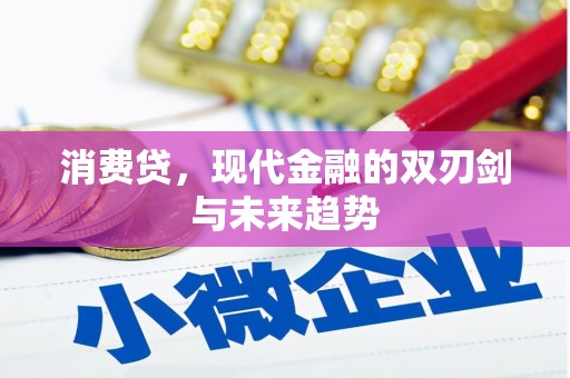 西和消费贷，现代金融的双刃剑与未来趋势