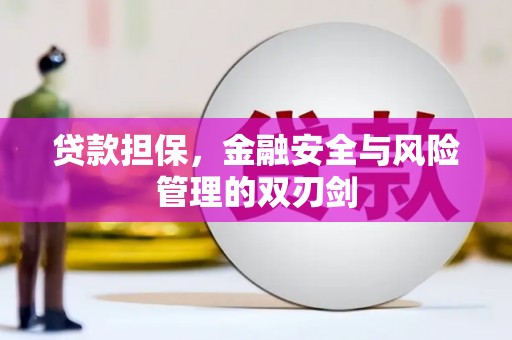 西和贷款担保，金融安全与风险管理的双刃剑