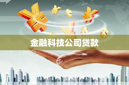西和金融科技公司贷款