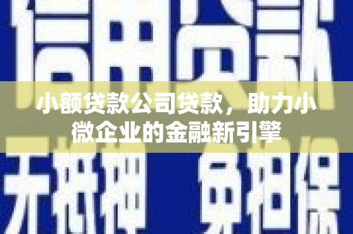 西和小额贷款公司贷款，助力小微企业的金融新引擎