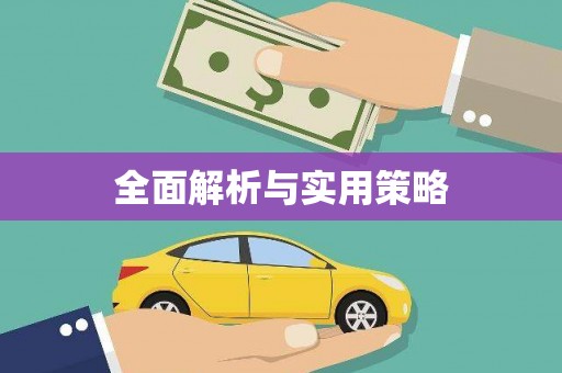 西和全面解析与实用策略