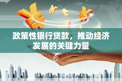 西和政策性银行贷款，推动经济发展的关键力量