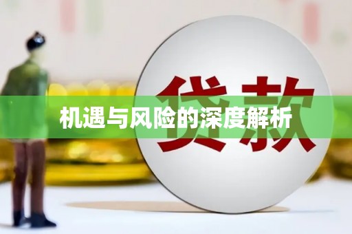 西和机遇与风险的深度解析