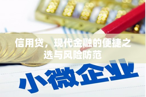 西和信用贷，现代金融的便捷之选与风险防范