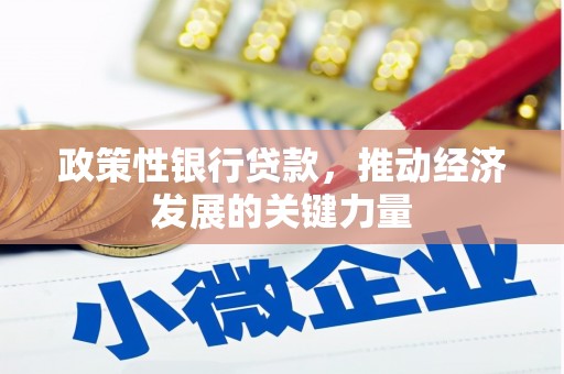 西和政策性银行贷款，推动经济发展的关键力量