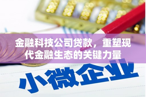 西和金融科技公司贷款，重塑现代金融生态的关键力量