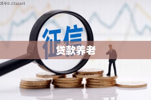 西和贷款养老