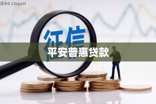 西和平安普惠贷款