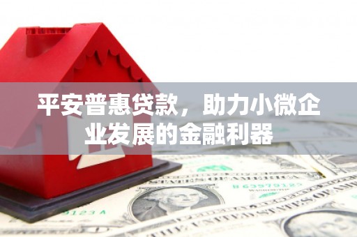 西和平安普惠贷款，助力小微企业发展的金融利器