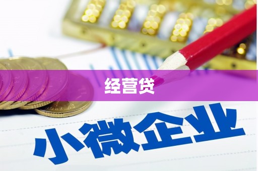 西和经营贷