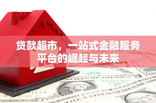 西和贷款超市，一站式金融服务平台的崛起与未来