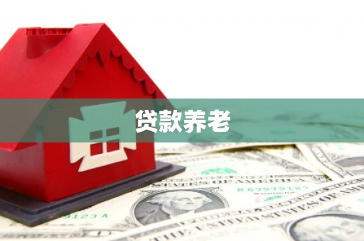 西和贷款养老