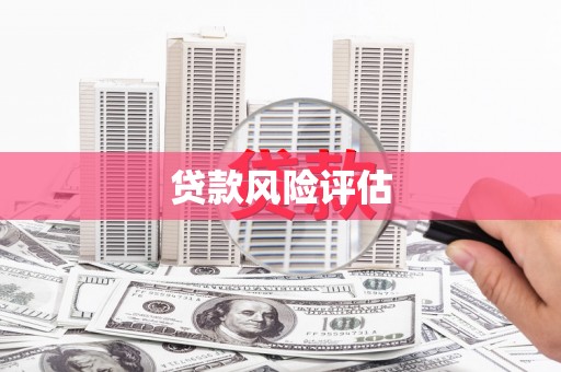 西和贷款风险评估