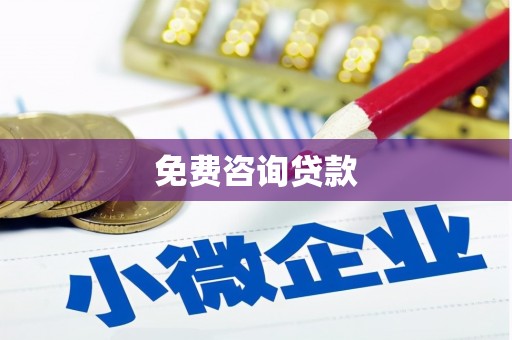 西和免费咨询贷款