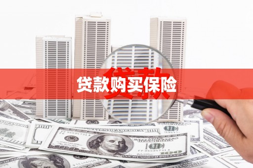 西和贷款购买保险