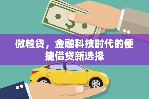 西和微粒贷，金融科技时代的便捷借贷新选择