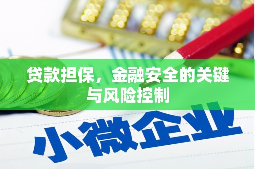 西和贷款担保，金融安全的关键与风险控制