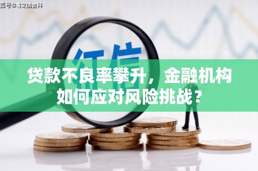 西和贷款不良率攀升，金融机构如何应对风险挑战？