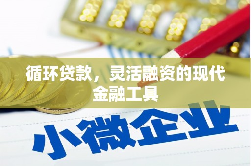 西和循环贷款，灵活融资的现代金融工具