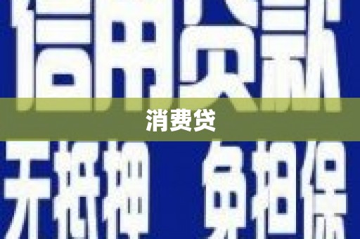 西和消费贷
