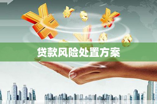 西和贷款风险处置方案