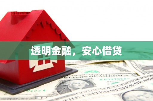 西和透明金融，安心借贷