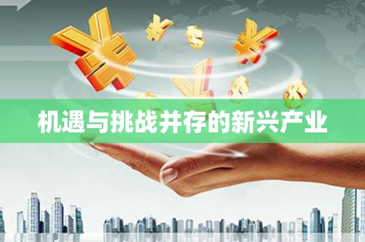 西和机遇与挑战并存的新兴产业