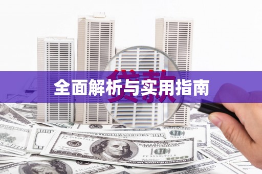 西和全面解析与实用指南
