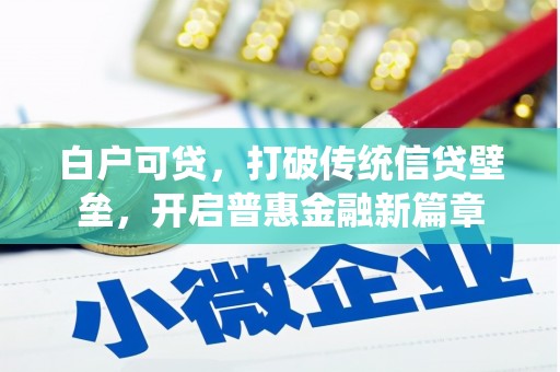 西和白户可贷，打破传统信贷壁垒，开启普惠金融新篇章