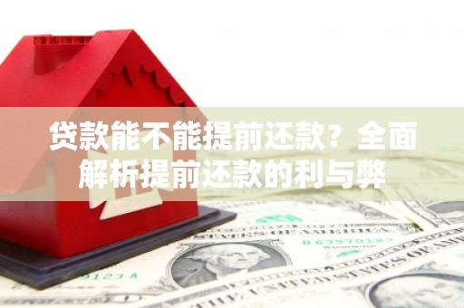 西和贷款能不能提前还款？全面解析提前还款的利与弊