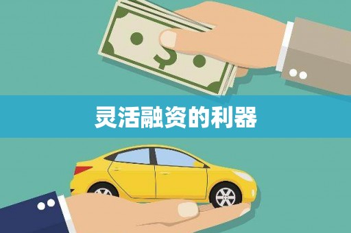 西和灵活融资的利器