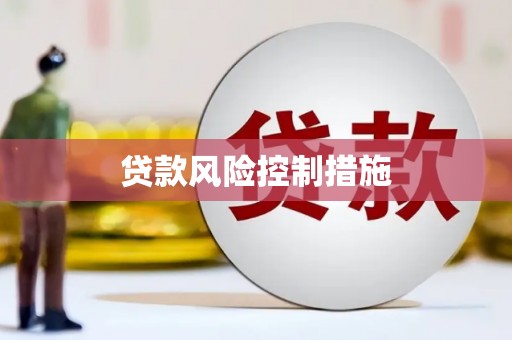 西和贷款风险控制措施