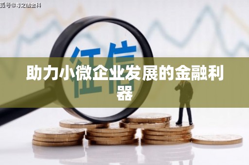 西和助力小微企业发展的金融利器