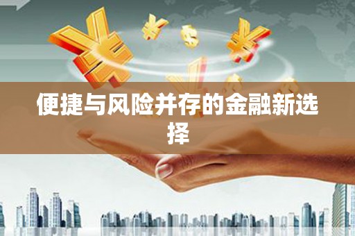 西和便捷与风险并存的金融新选择