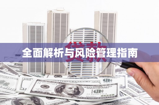 西和全面解析与风险管理指南