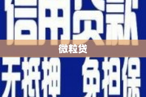 西和微粒贷