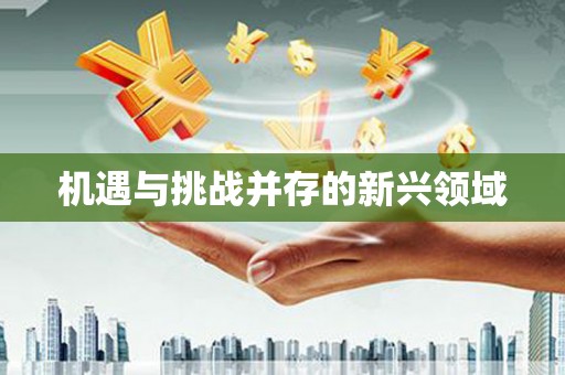 西和机遇与挑战并存的新兴领域