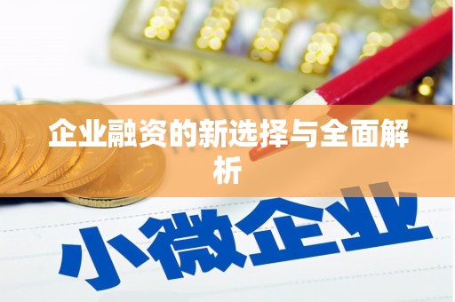 西和企业融资的新选择与全面解析