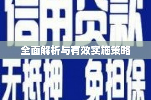 西和全面解析与有效实施策略