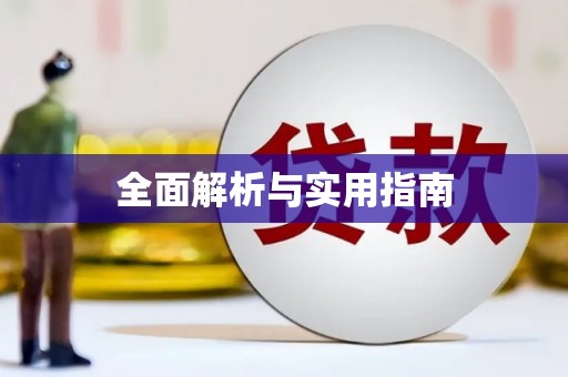 西和全面解析与实用指南
