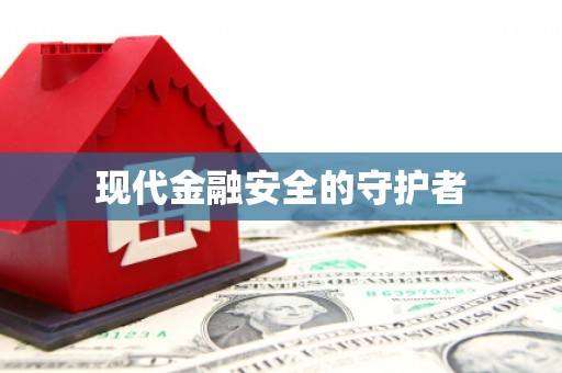 西和现代金融安全的守护者