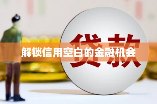 西和解锁信用空白的金融机会