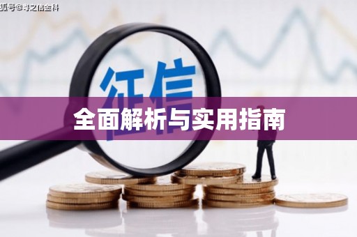 西和全面解析与实用指南