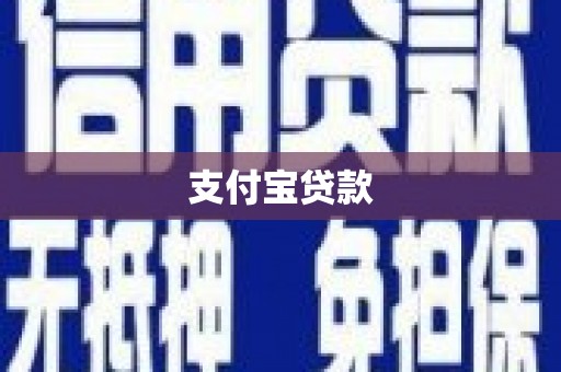 西和支付宝贷款