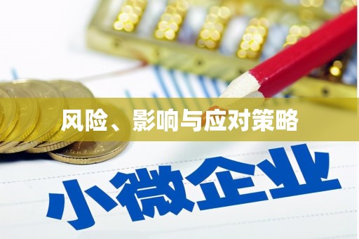 西和风险、影响与应对策略