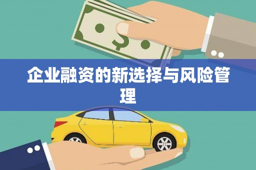 西和企业融资的新选择与风险管理